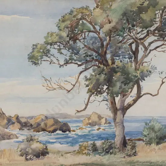 W S Wauchop - Goose Bay Kaikoura