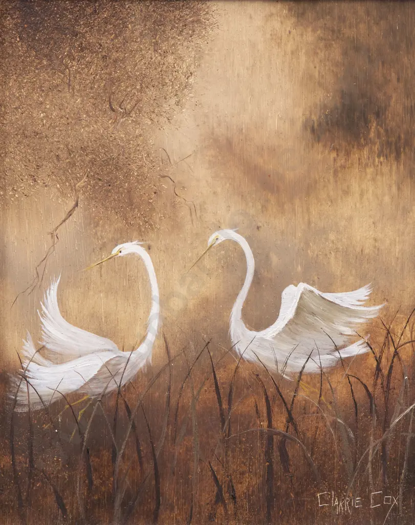 Clarrie Cox - Egret Study Image 1++
