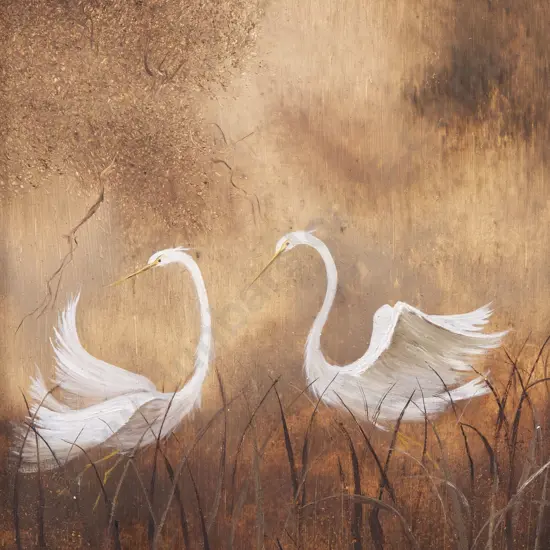 Clarrie Cox - Egret Study