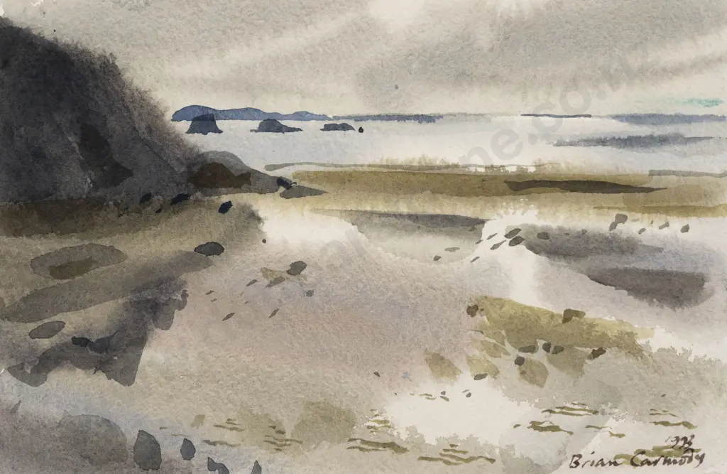 Brian Carmody - Wellington Coastal Landscape Image 1++