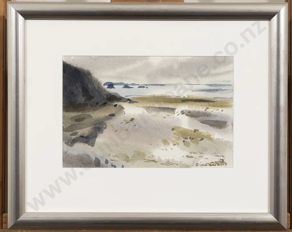 Brian Carmody - Wellington Coastal Landscape Image 1++