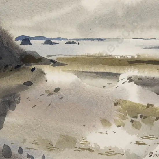 Brian Carmody - Wellington Coastal Landscape