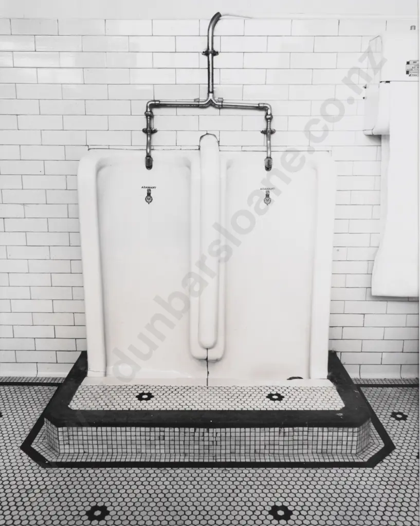 Jan Nauta - Nag Urinal Image 1++