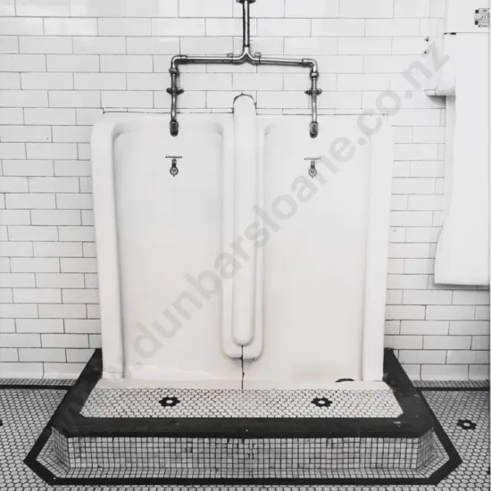 Jan Nauta - Nag Urinal