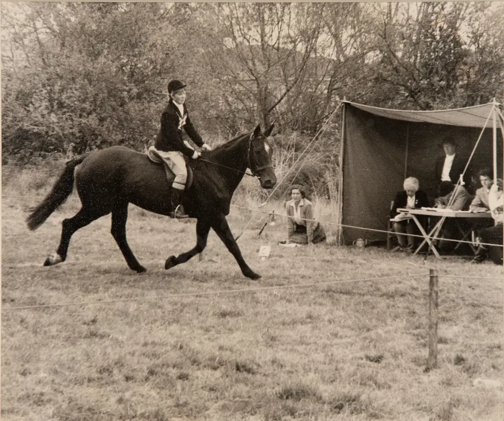 Unknown Photographer - Dressage Test Image 1++