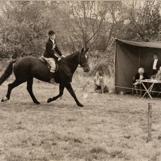 Unknown Photographer - Dressage Test