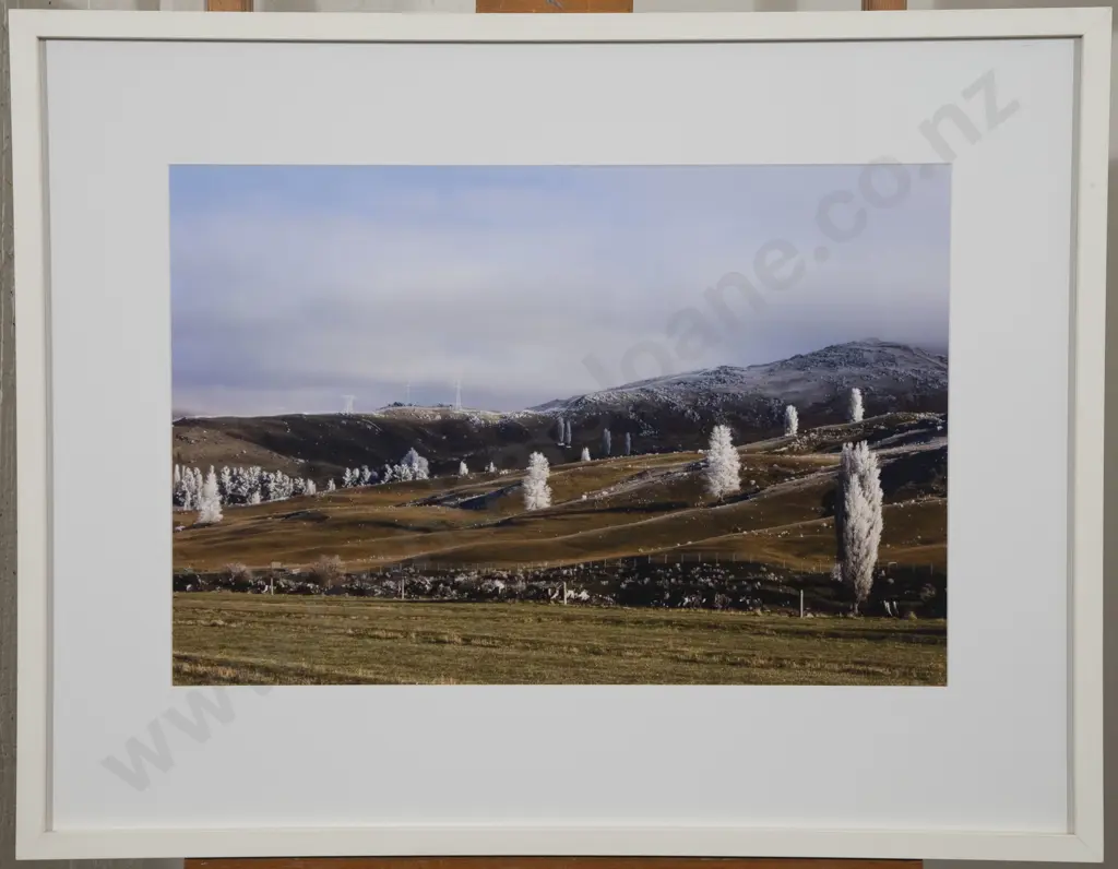 Peter Evans - Frozen Trees and Pylons (Fruitlands) Image 1++