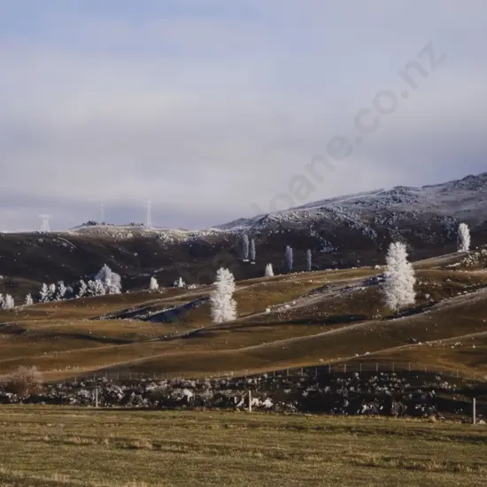 Peter Evans - Frozen Trees and Pylons (Fruitlands)