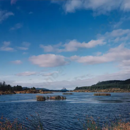 Derek Henderson - Lake Whakamaru