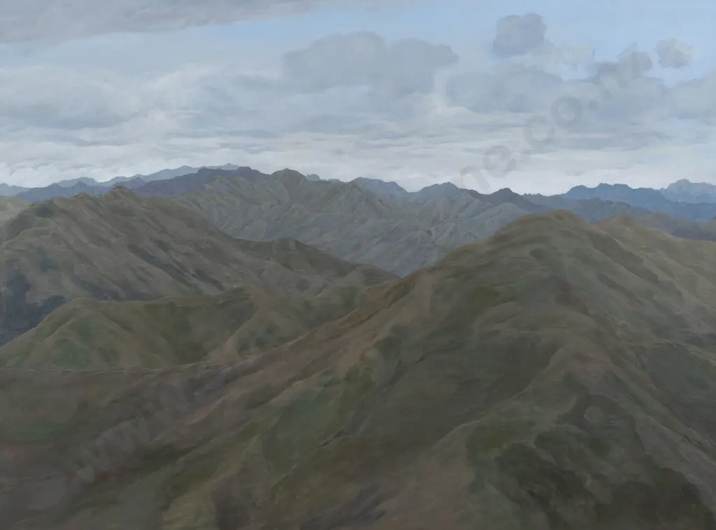 Margaret Elliot - Canterbury Landscape Image 1++