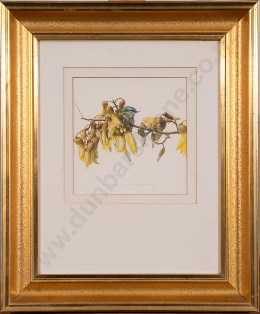 Russell M. Jackson (b 1947) - Rifleman and Kowhai Image 1++