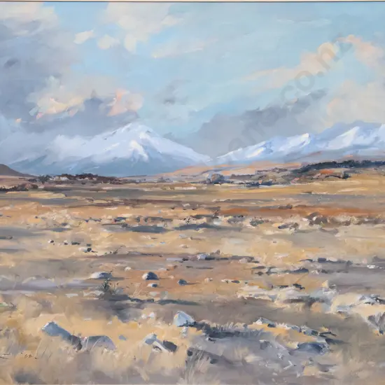 W F Moore - Nor'West Approaching - McKenzie Bush