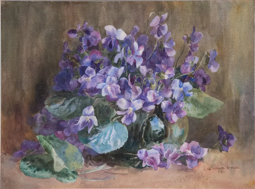 Rosa Spencer Bower - Hydrangea Study Image 1++