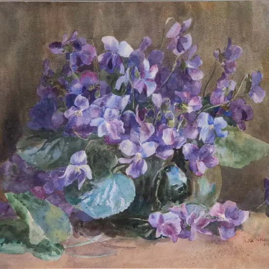 Rosa Spencer Bower - Hydrangea Study