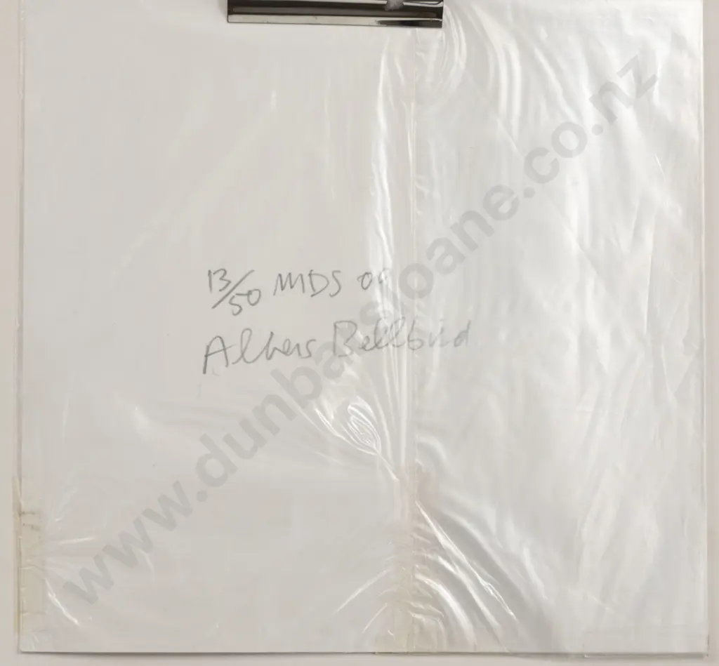 Michael Smither (b 1939) - Albers Bellbird (unframed) Image 1++