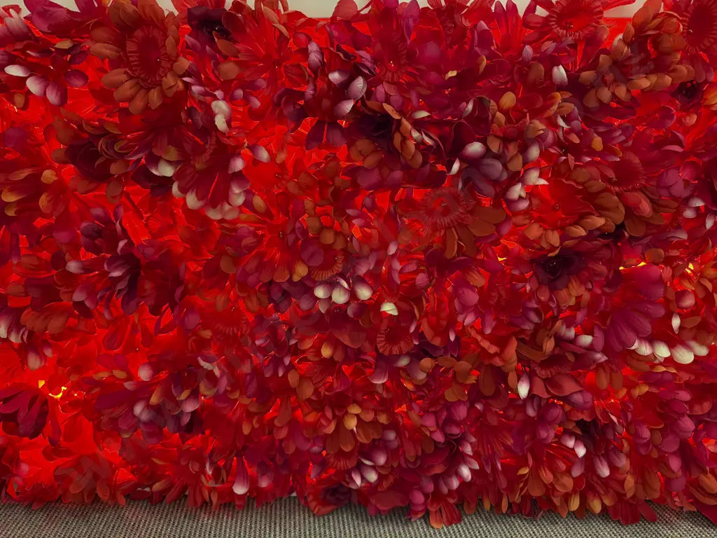 Niki Hastings-McFall - Samoan Hibiscus Image 1++