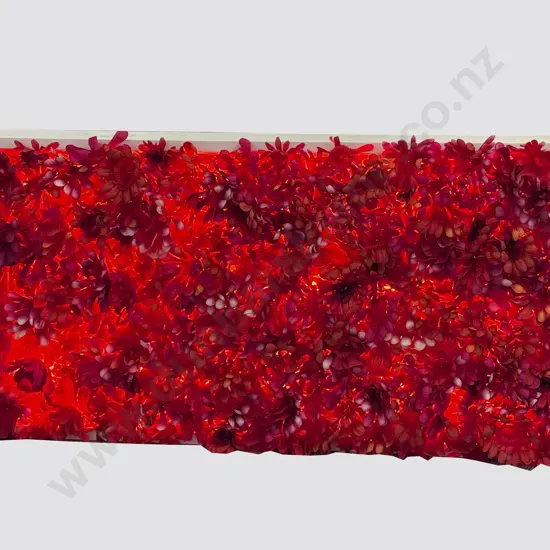 Niki Hastings-McFall - Samoan Hibiscus