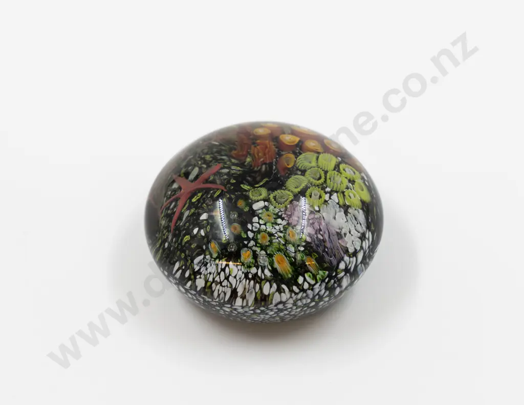 Peter Raos Coral Reef Paperweight Image 1++