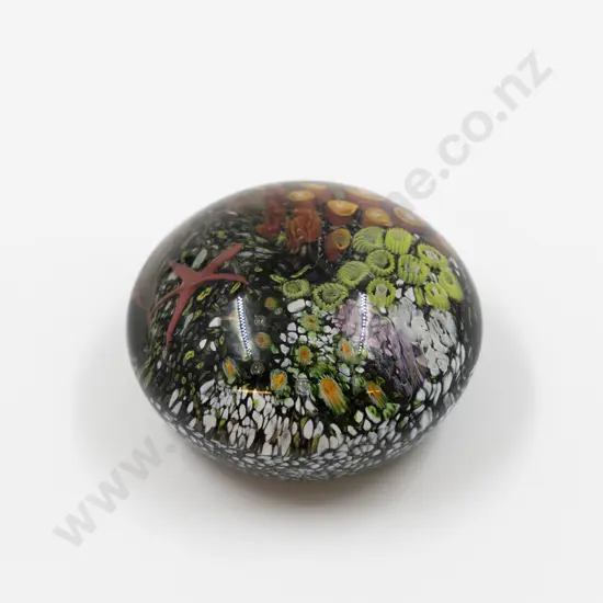 Peter Raos Coral Reef Paperweight