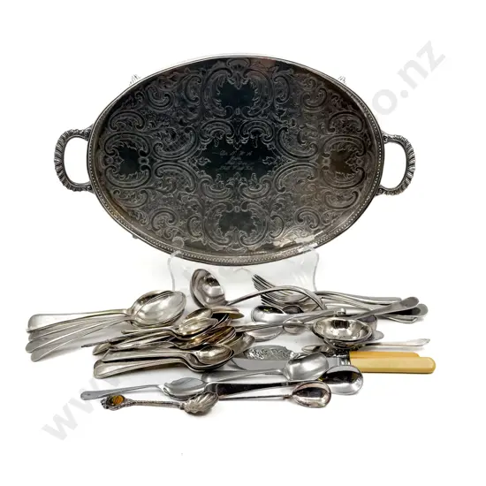 Quantity of Assorted S/P on Plated Tray