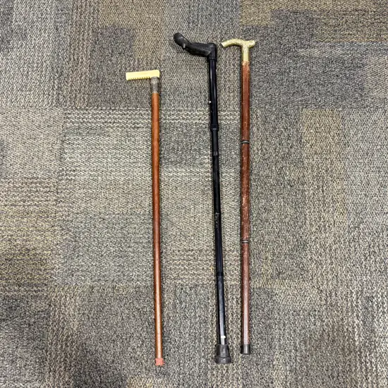 Bone Handled & S/S Rimmed Walking Stick & Three Others