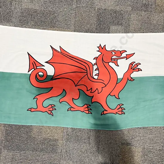 Welsh Flag