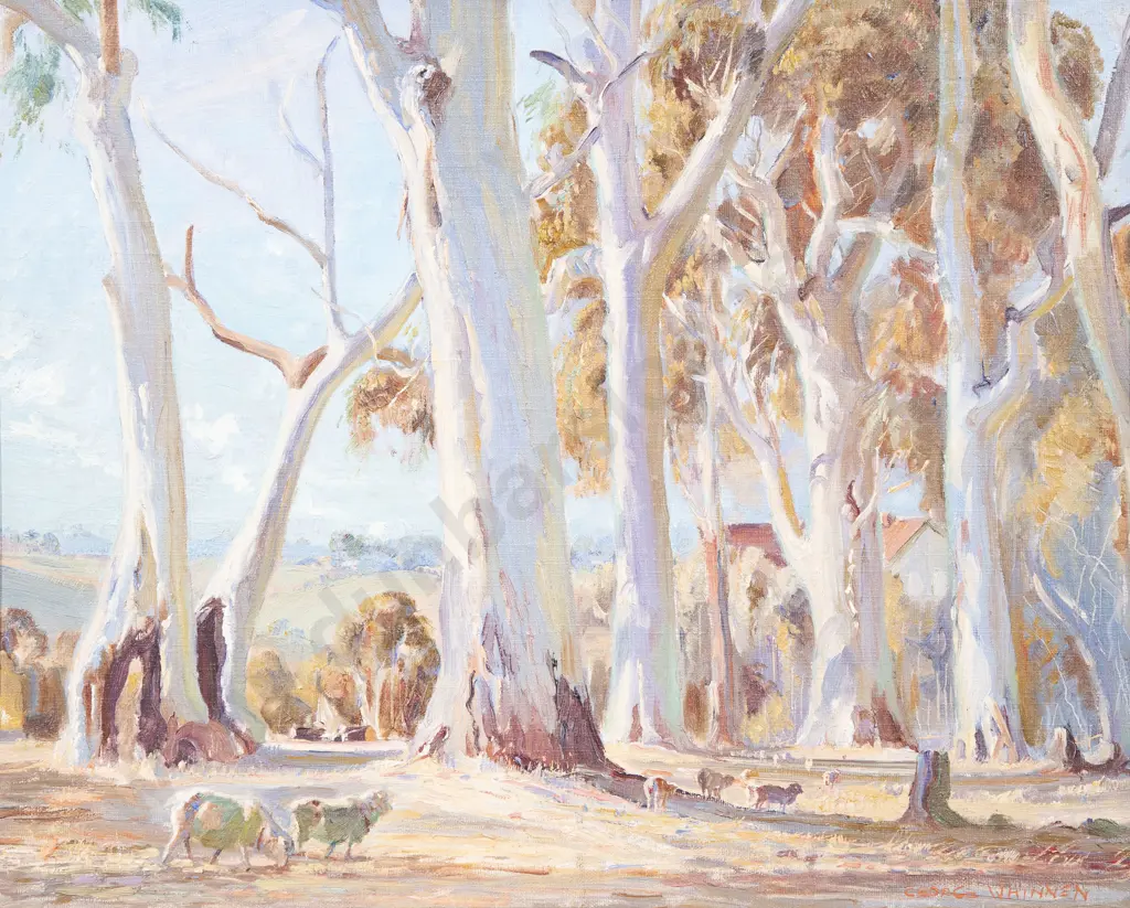 George Whinnen (Australian 1891 - 1950) - White Gums - Woodhouse S.A. Image 1++