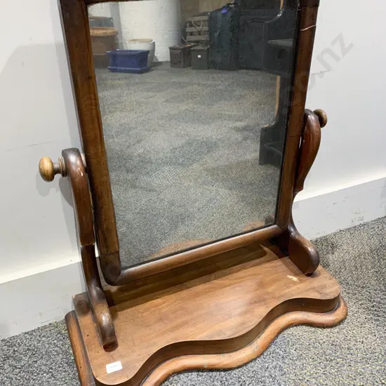 Vict Swing Toilet Mirror