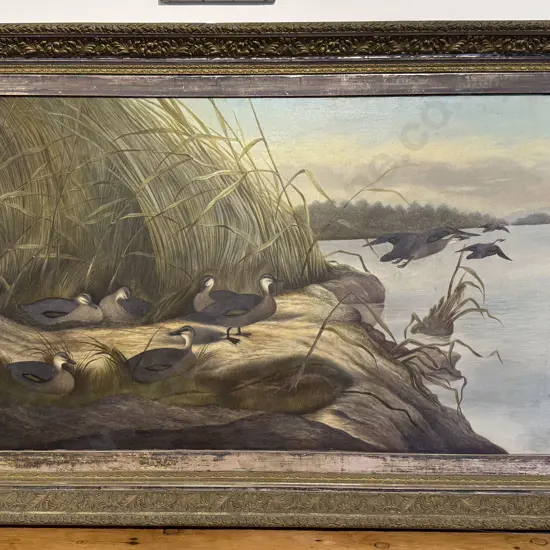 Unknown C19th Artist - Lake Study With NZ Grey Ducks