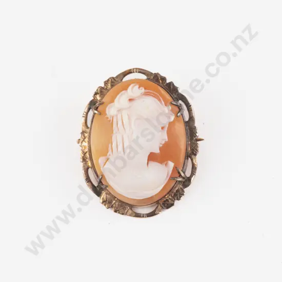 9ct Framed Classic Portrait Cameo Brooch
