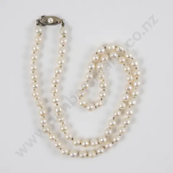 Single Strand Uniform Cultured Pearl Necklace