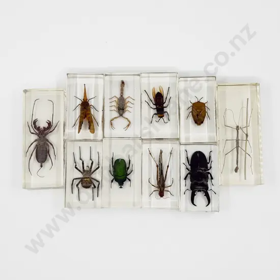 Quantity of Assorted Bug Paperweights