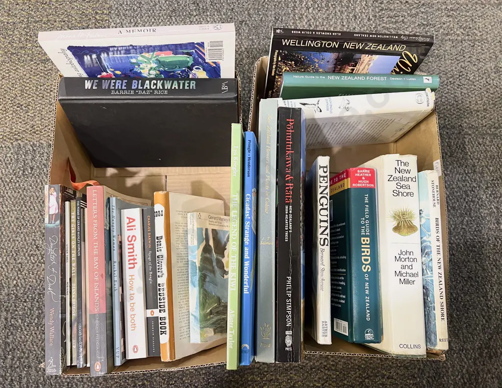 Two Boxes of Assorted Books Image 1++