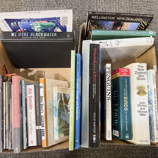 Two Boxes of Assorted Books