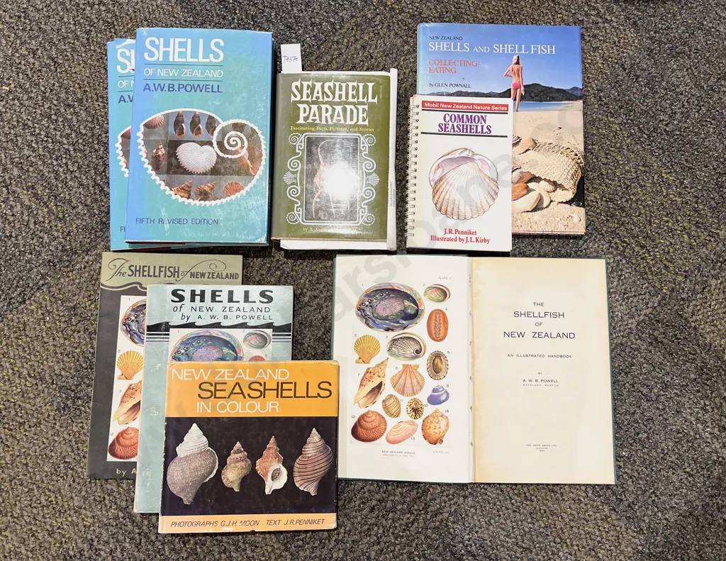 Nine Assorted NZ Seashell Reference Books Image 1++