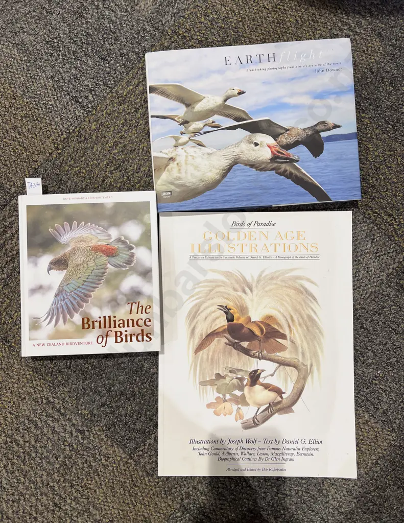 Three Assorted Ornithological Reference Books Image 1++