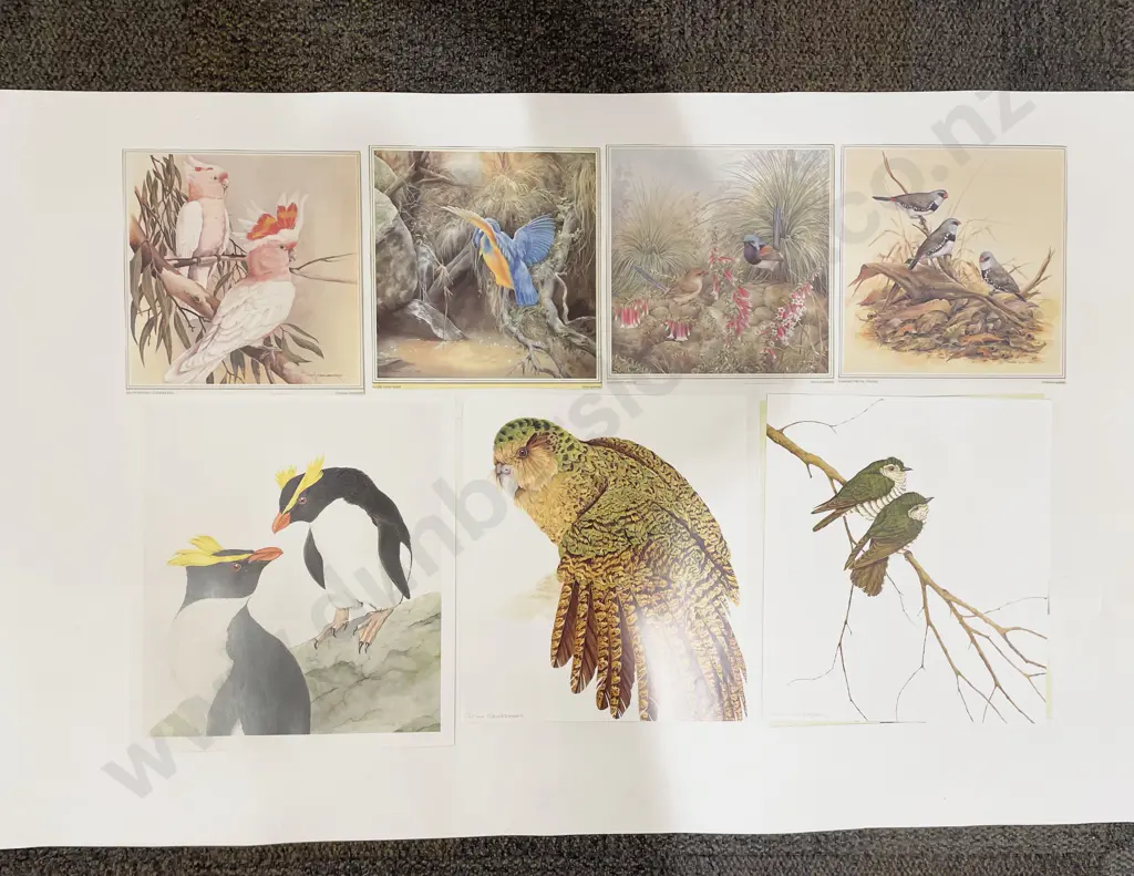 Quantity of Assorted Loose Prints Image 1++