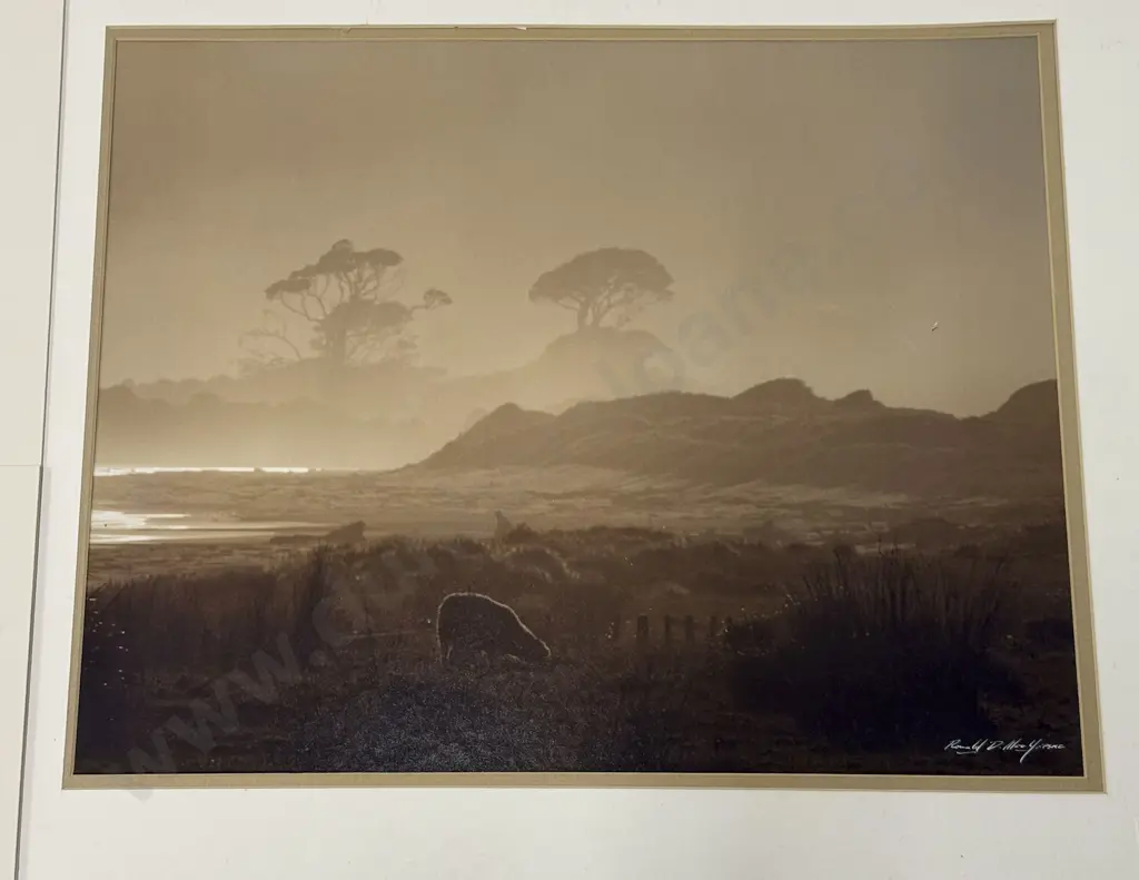 2 Vintage Black & White Photographs By Ronald Woolf & 2 By Simon Woolf Image 1++