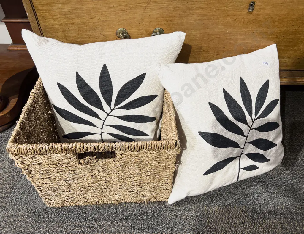 Storage Box and Two Cushions Image 1++