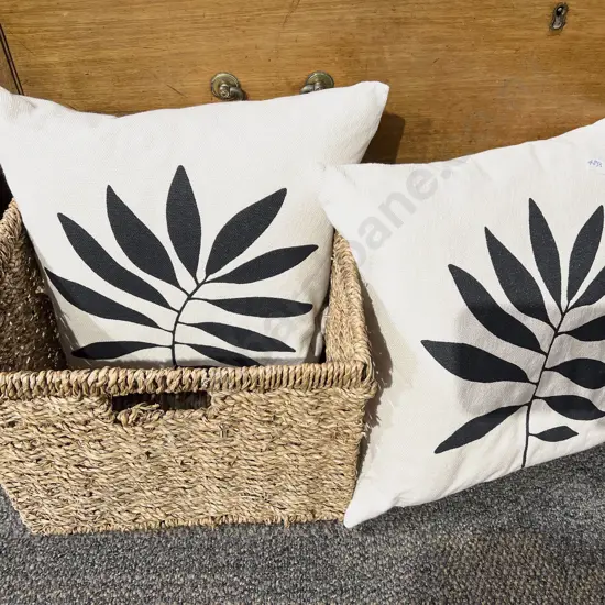 Storage Box and Two Cushions