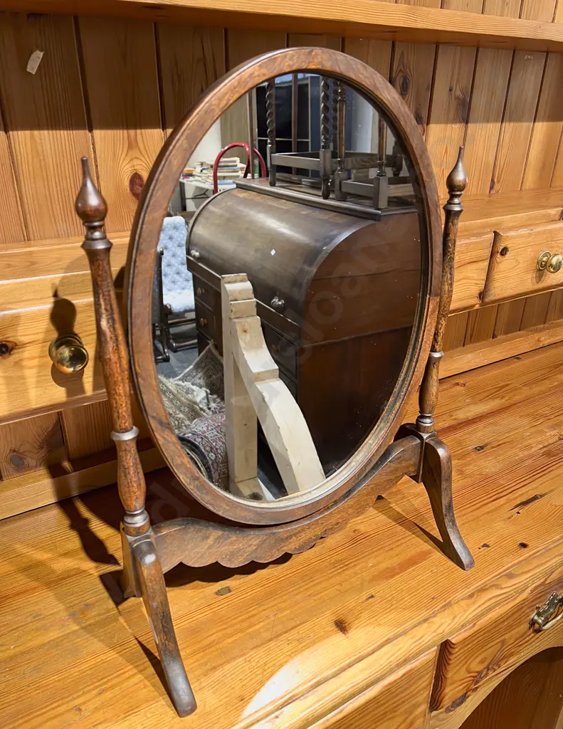 Toilet Swing Mirror Image 1++