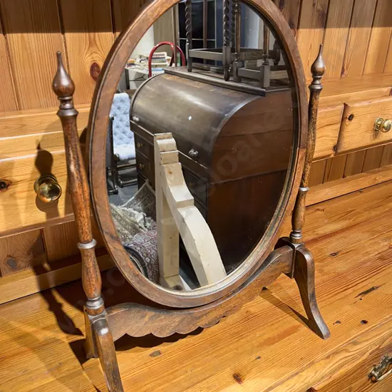 Toilet Swing Mirror