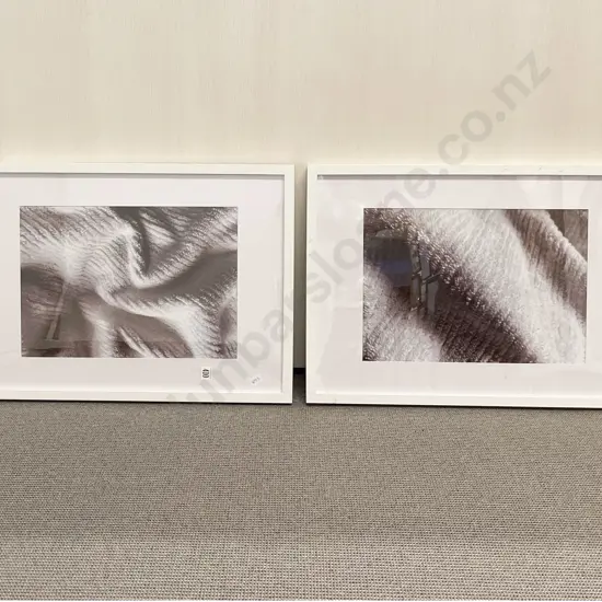 Pair Framed Digital Prints