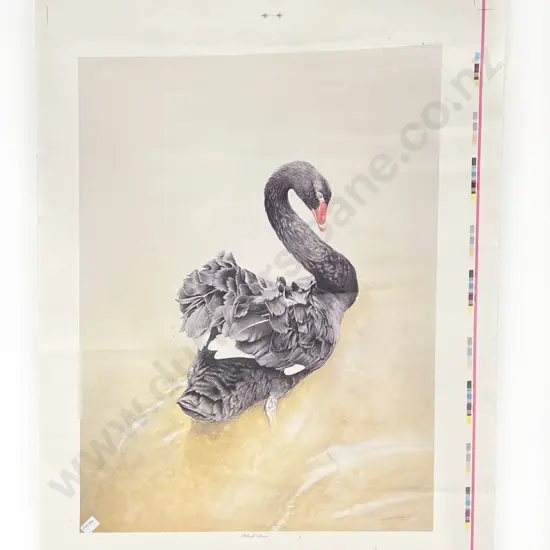Raymond Ching - "Black Swan" - Ltd Edition Print of 850