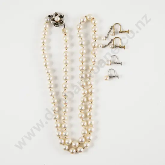 Single Strand Uniform Freshwater Pearl Necklace