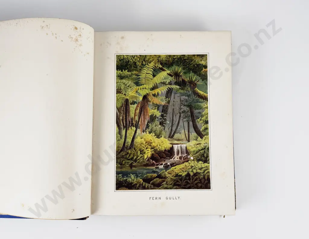 Leys Thomson W - Early History of New Zealand Image 1++