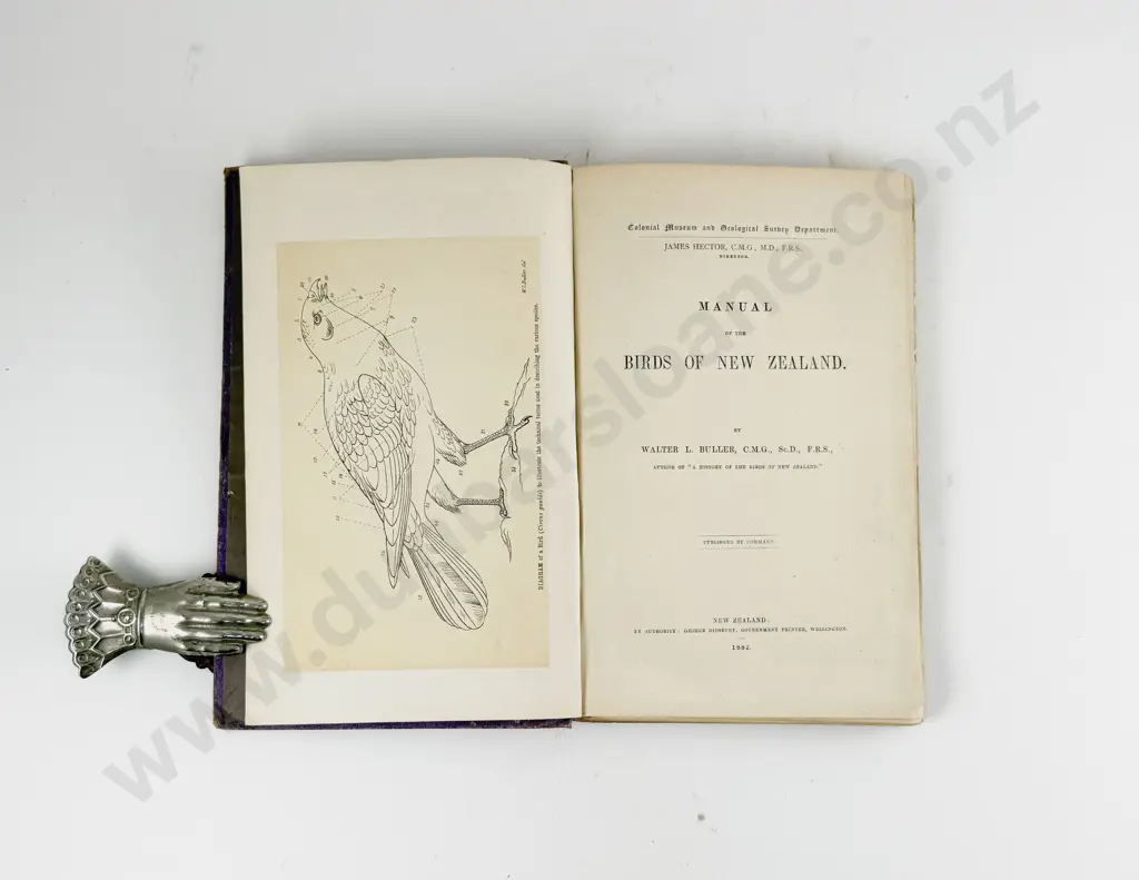 Buller Walter L - Manual Of The Birds Of New Zealand Image 1++
