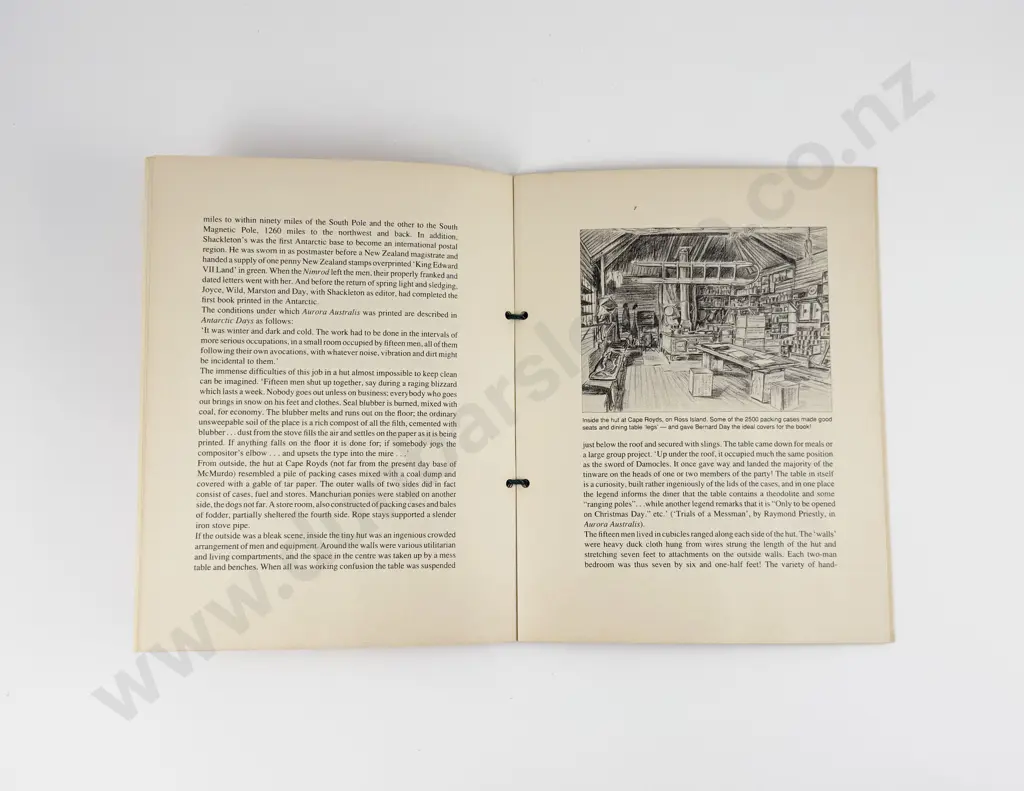 (-) Aurora Australis Image 1++