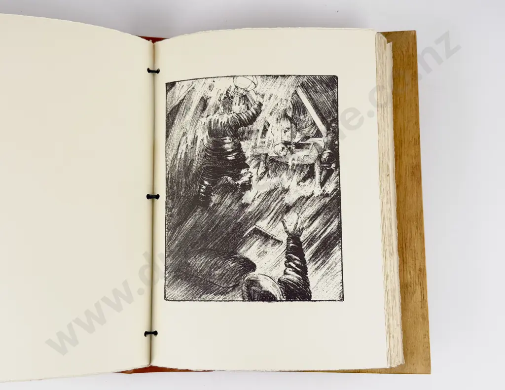 (-) Aurora Australis Image 1++