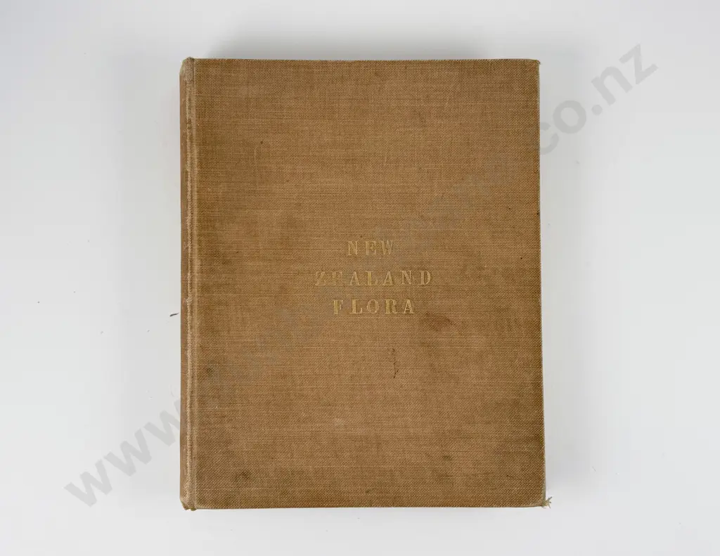 Featon Mr & Mrs E H - The Art Album of New Zealand Flora Volume I Image 1++